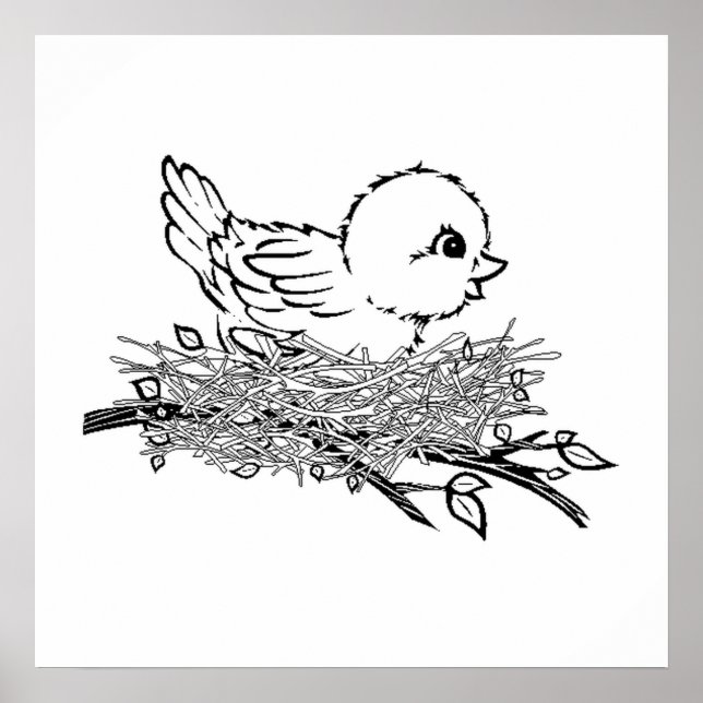 Poster Bébé Oiseau Dans Le Nid (Devant)