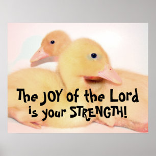 Poster Bébé Pekin Canard Canard Canard Oiseau Animal Anim