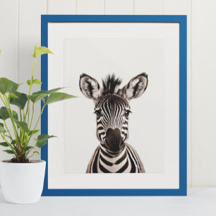 Poster Bébé Safari Animaux de la Jungle Africaine Zèbre