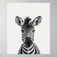 Bébé Safari Animaux de la Jungle Africaine Zèbre