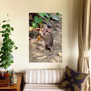 Poster Bébé singe