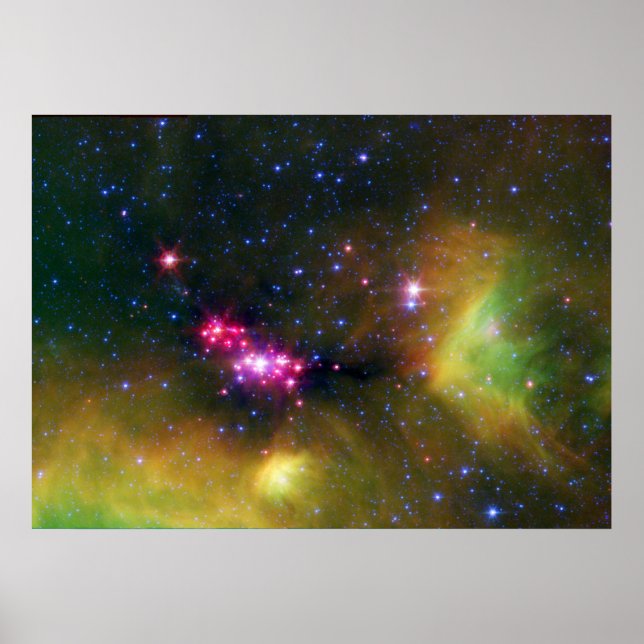 Poster Bébés stellaires (Devant)