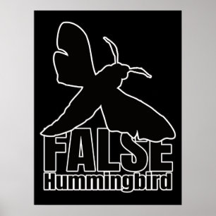 Poster Bécasseau à colibri-papillon - Geek d'enttomologie