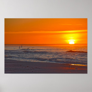 Poster Bécasses volantes au lever du soleil, plage de Flo