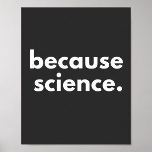 Poster Because