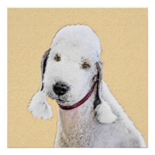 Poster Bedlington Terrier Peinture - Art Chien original