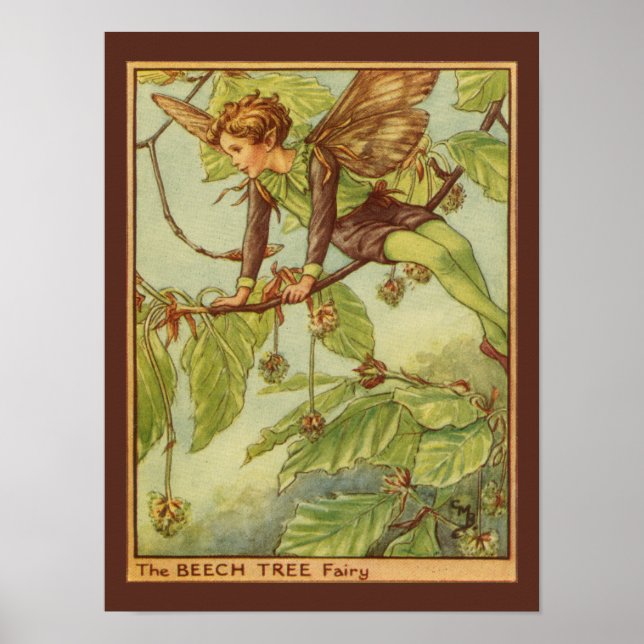 Poster Beech Tree Fairy by Vision Studio (Devant)