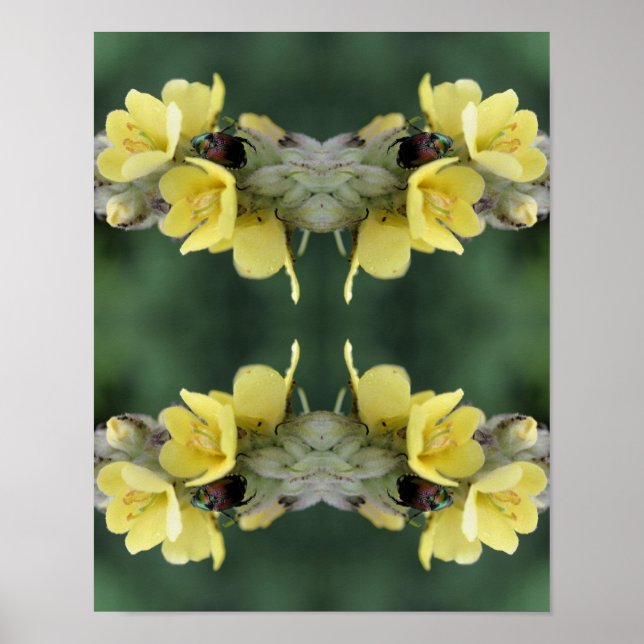 Poster Beetle sur Wild Mullein Flower Abstrait (Devant)