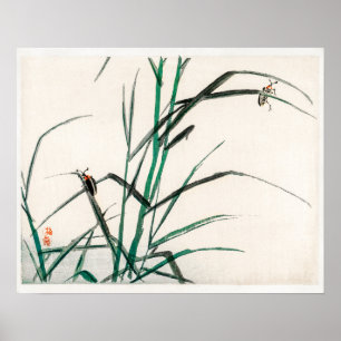 Poster Beetles par Kōno Bairei (1844-1895)