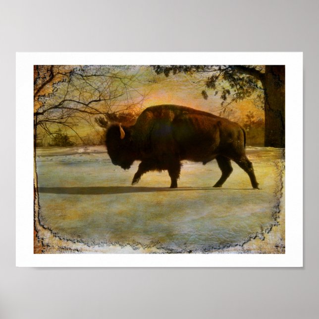 Poster Befalling Earth (Devant)