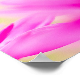 Poster Before the Bloom