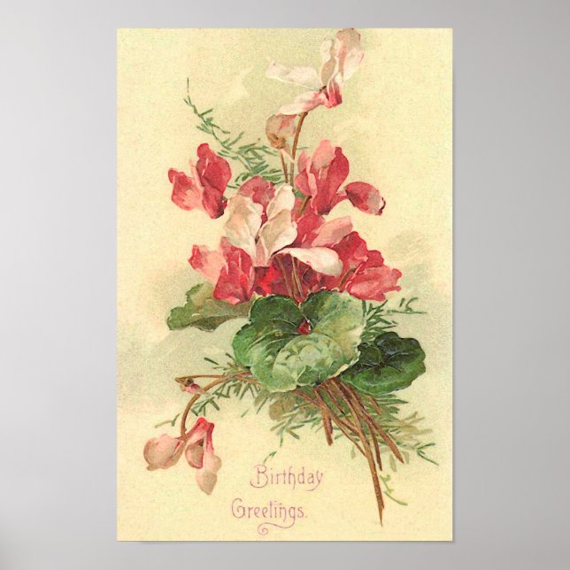 Poster Begonia Vintage Anniversaire Salutations (Devant)