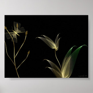 Poster Beige sur Noir