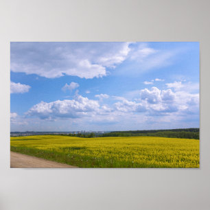 Poster Bélarus Grodno Canola Fields