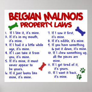 POSTER BELGE MALINOIS PL2