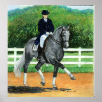 Belge Warmblood Dressage Horse Portrait