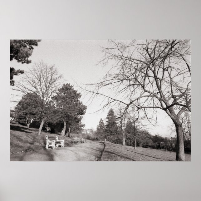 Poster Bell Vue Park, Newport, lun (déc. 1977) (Devant)