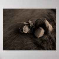 Belle Ail Still Life Beaux Art Photographie