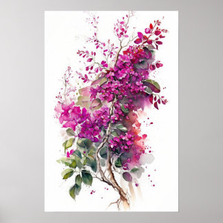 Poster Belle aquarelle de Bougainvilliers