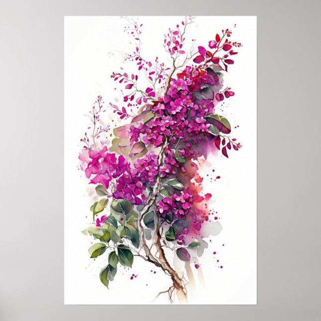 Poster Belle aquarelle de Bougainvilliers (Devant)