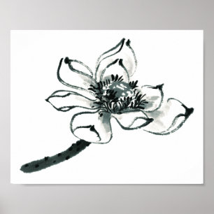 Poster Belle aquarelle Lotus de la paix  