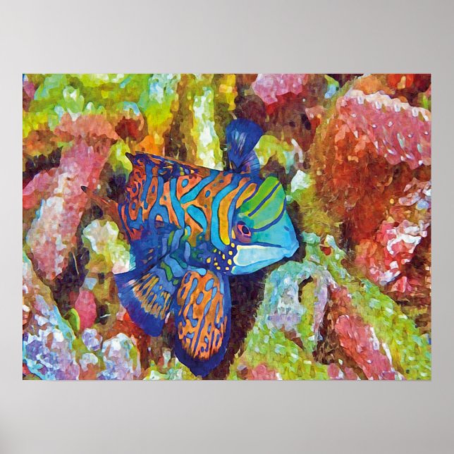 Poster Belle aquarelle Mandarinfish Design (Devant)