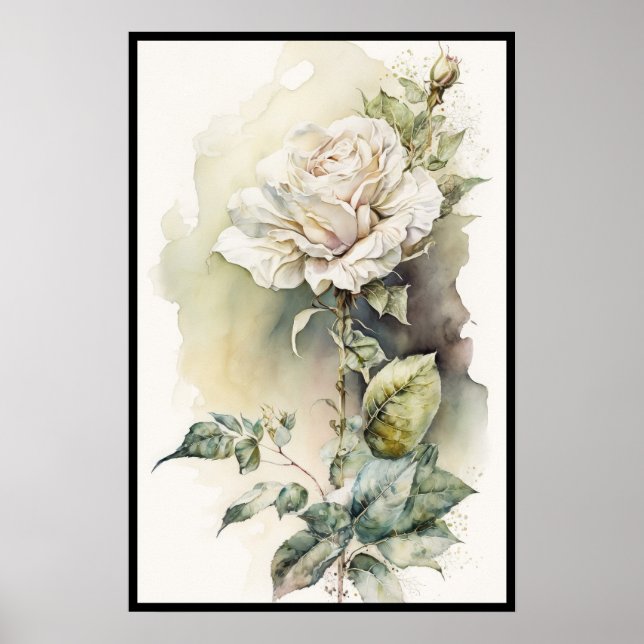 Poster Belle aquarelle rose blanche (Devant)