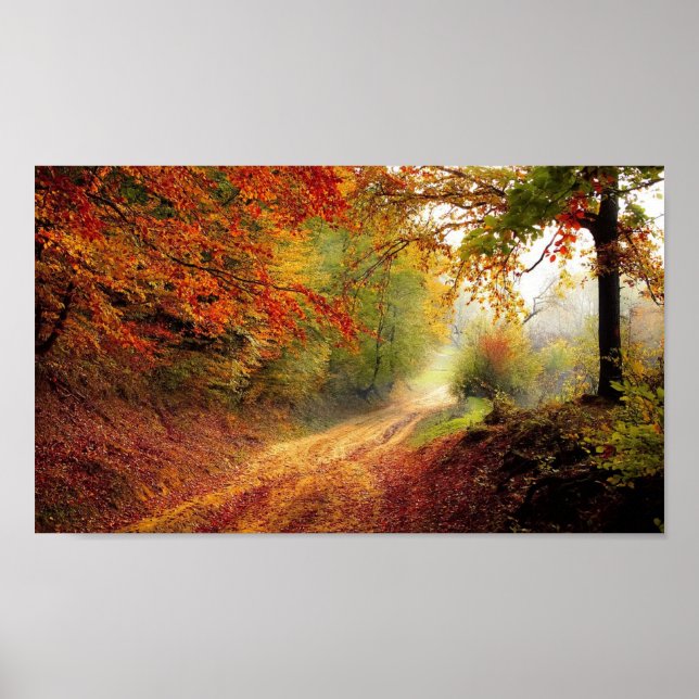 Poster Belle Arbre Avenue Automne Saison (Devant)