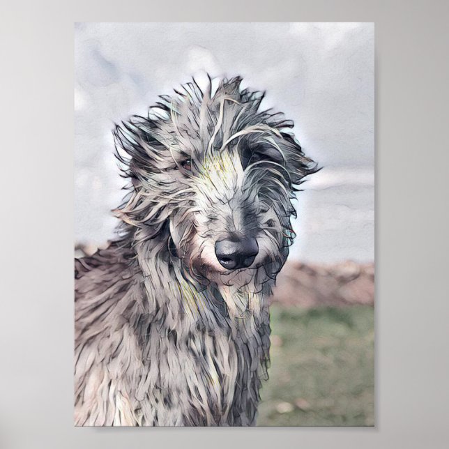 Poster Belle conception écossaise de Deerhound (Devant)