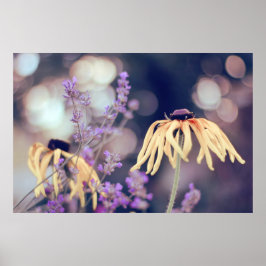 Poster Belle Elégante Dreamy Coneflowers Lavender