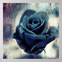 Belle Elégante Magique Artistique Bleu Rose