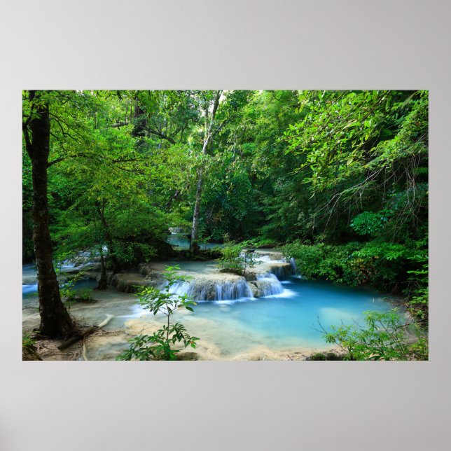 Poster Belle Forêt (Devant)