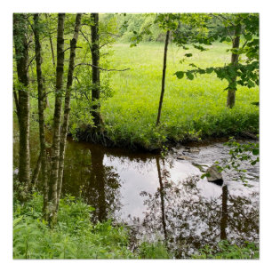 Poster Belle forêt belge et rivière, voyage
