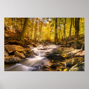 Poster Belle forêt d'automne
