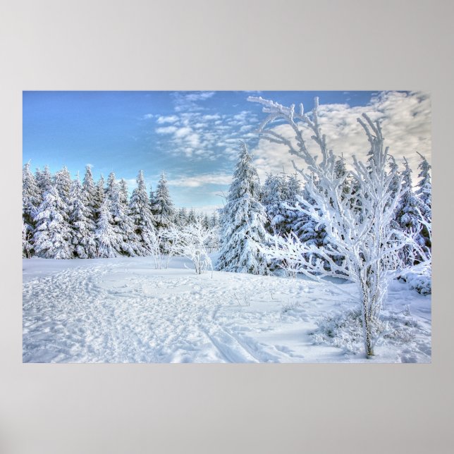 Poster Belle Forêt de Neige d'hiver (Devant)