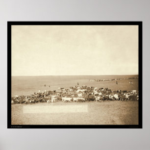 Poster Belle Fouche Cowboy Round-Up SD 1887