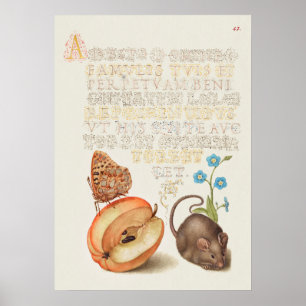 Poster Belle illustration botanique Vintage