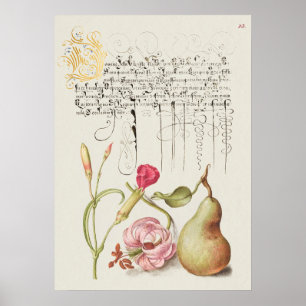 Poster Belle illustration botanique Vintage