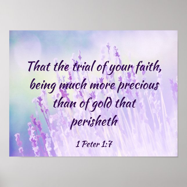 Poster Belle Lavande Fleur Champ Bible Écriture (Devant)