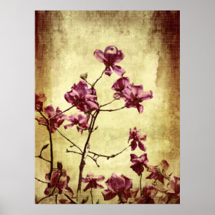 Poster Belle magnolia sur l'arrière - plan grunge