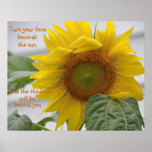 Poster Belle Motivation tournesol