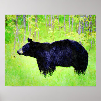 Poster Belle Ours Noir Faune Aquarelle Peintures