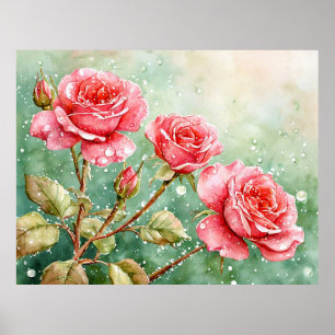 Poster Belle peinture à l'aquarelle de roses rouges