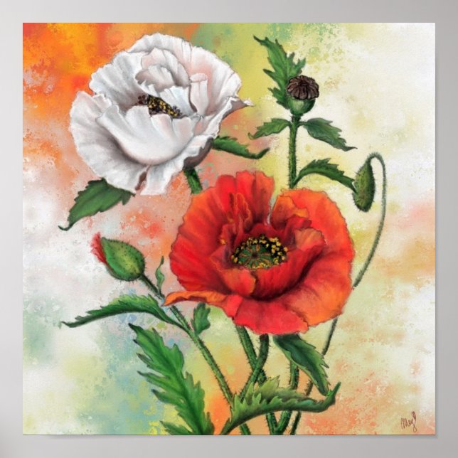 Poster Belle peinture de l'affiche rouge blanc de pavot (Devant)
