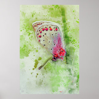 Poster belle peinture de papillon blanc sur une tige 