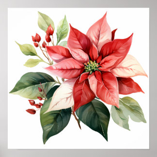 Poster Belle Poinsettia de Noël Rouge