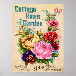 Poster Belle publicité de catalogue de fleurs Vintages