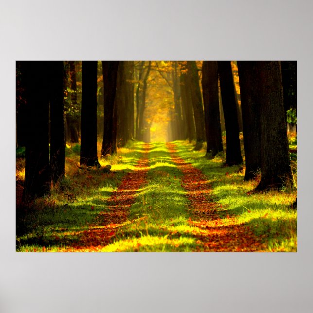 Poster Belle route Forest Path (Devant)