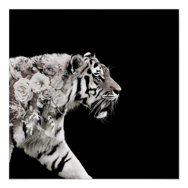 Poster Belle Tigre Roses Double exposition photo (Devant)