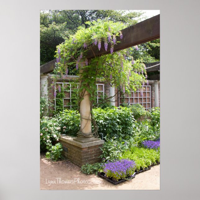 Poster Belle toile d'une image (Devant)